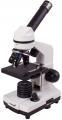 Digitln mikroskop Levenhuk Rainbow D2L 0.3M, Moonstone