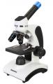 Digitln mikroskop se vzdlvac publikac Levenhuk Discovery Pico Polar